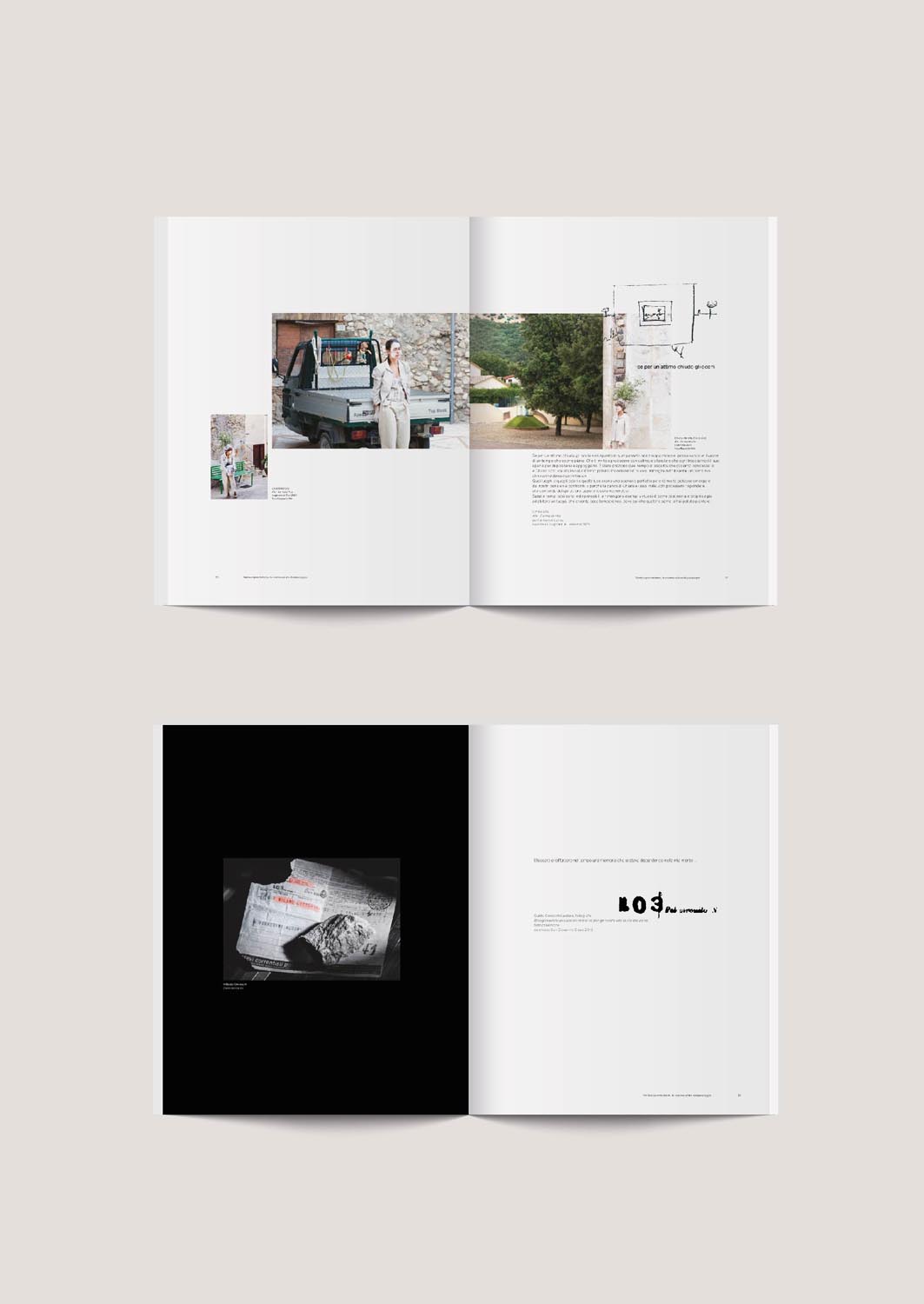 Progetto grafico editoriale - Verdecoprente book - La scena svelata del paesaggio